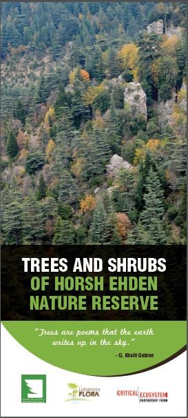  booklet image of Ehden Trees Booklet 2021